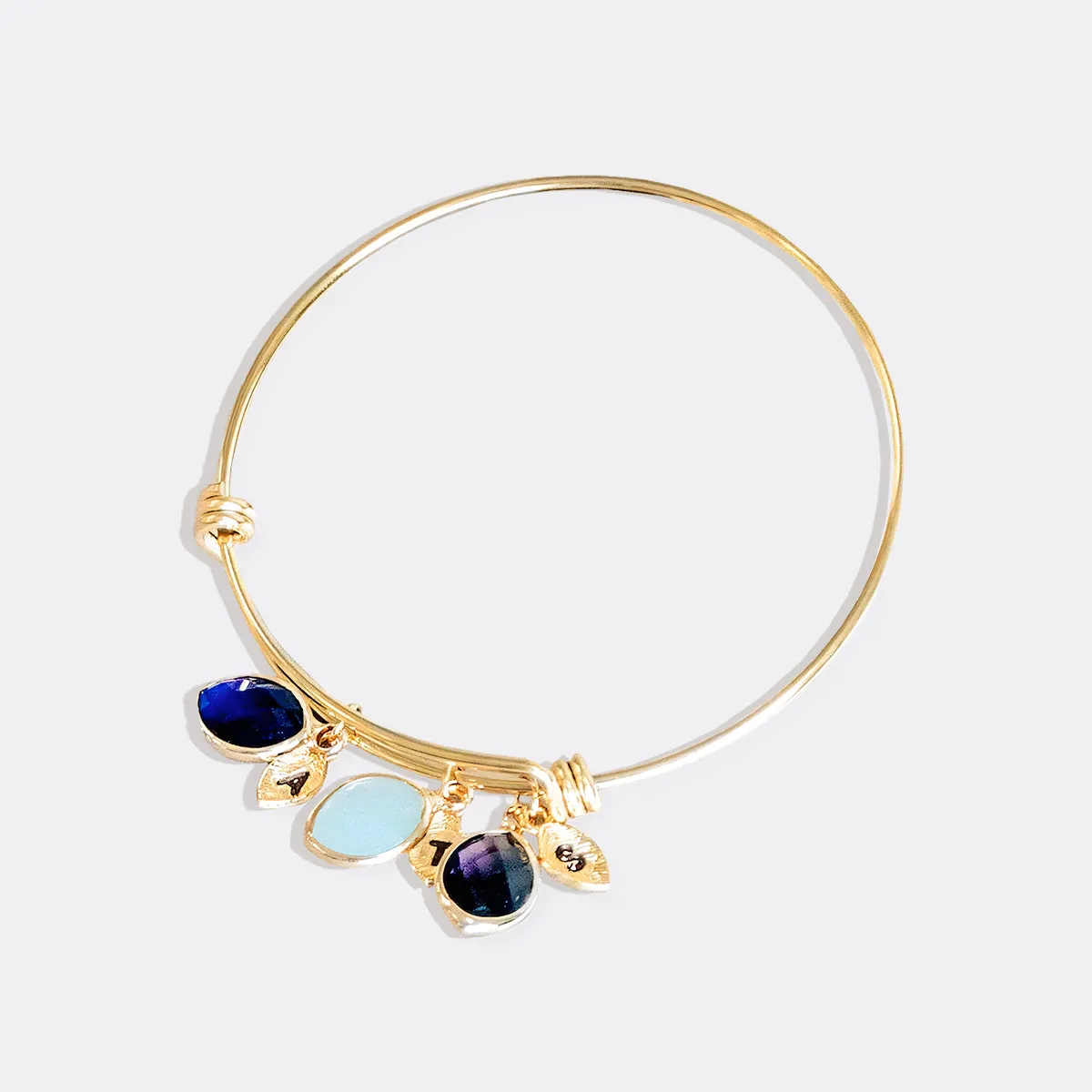 Birthstone Family Charm Bracelet