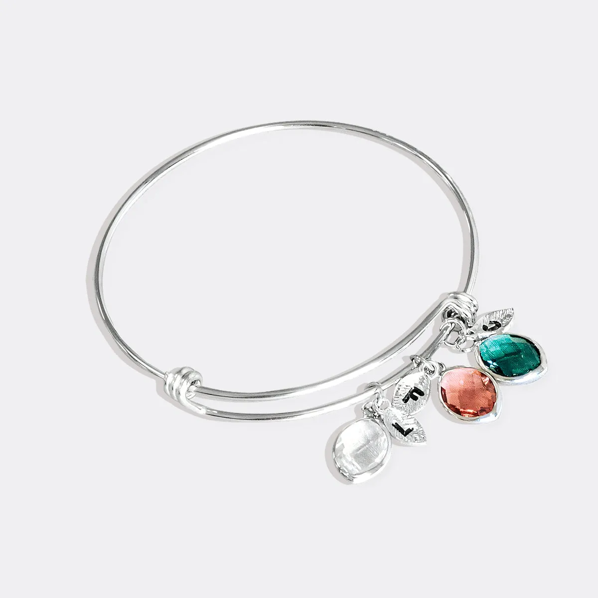 Birthstone Family Charm Bracelet