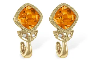 Earrings - C211-44410_Y