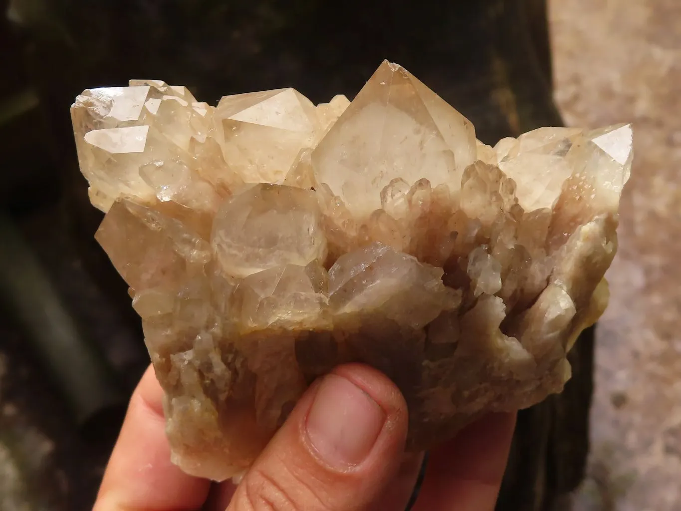 Natural Cascading White Phantom Smokey Quartz Clusters x 6 From Luena, Congo