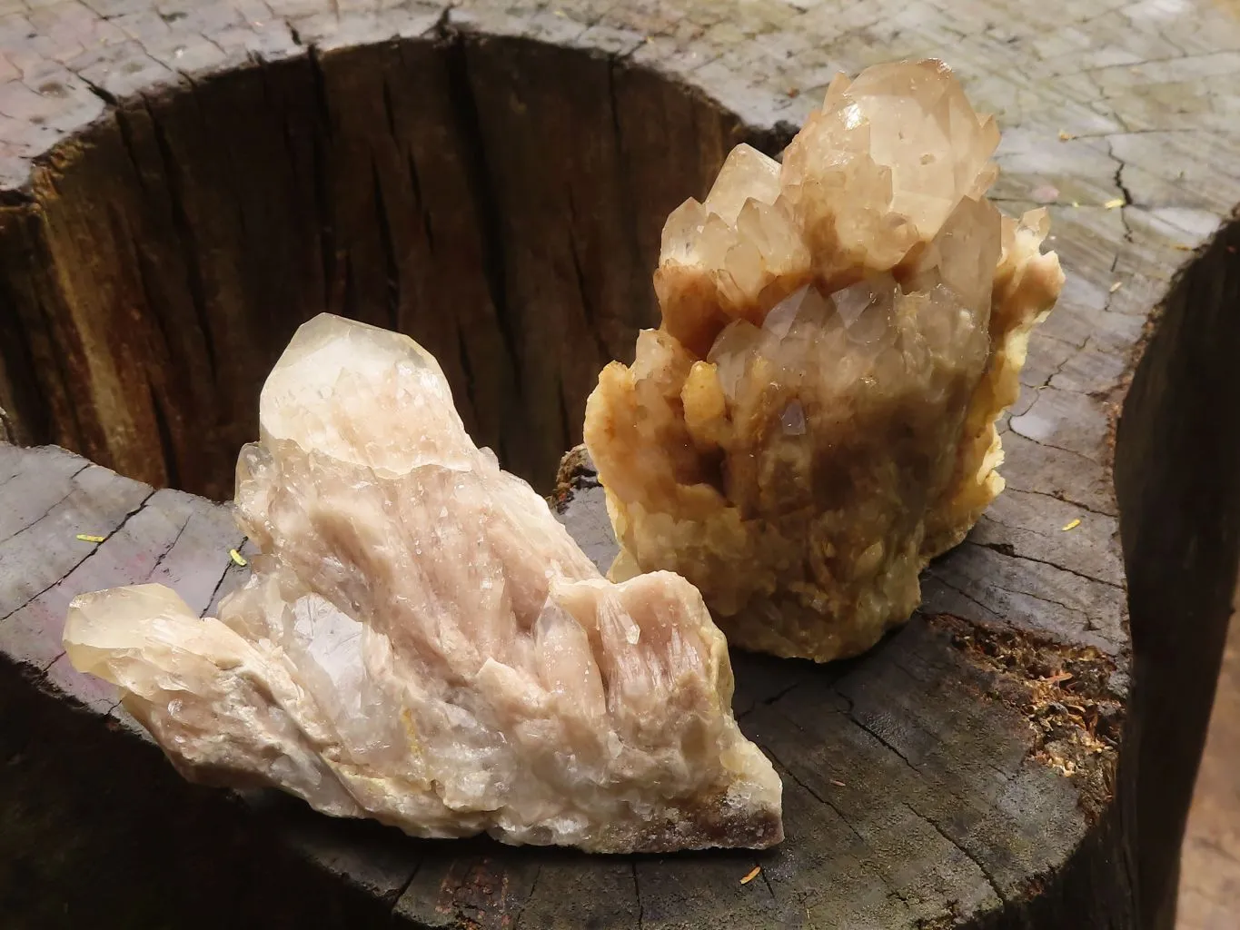 Natural Cascading White Phantom Smokey Quartz Clusters x 6 From Luena, Congo