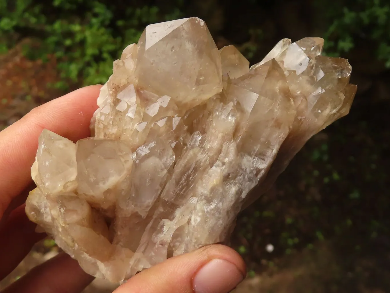 Natural Cascading White Phantom Smokey Quartz Clusters x 6 From Luena, Congo