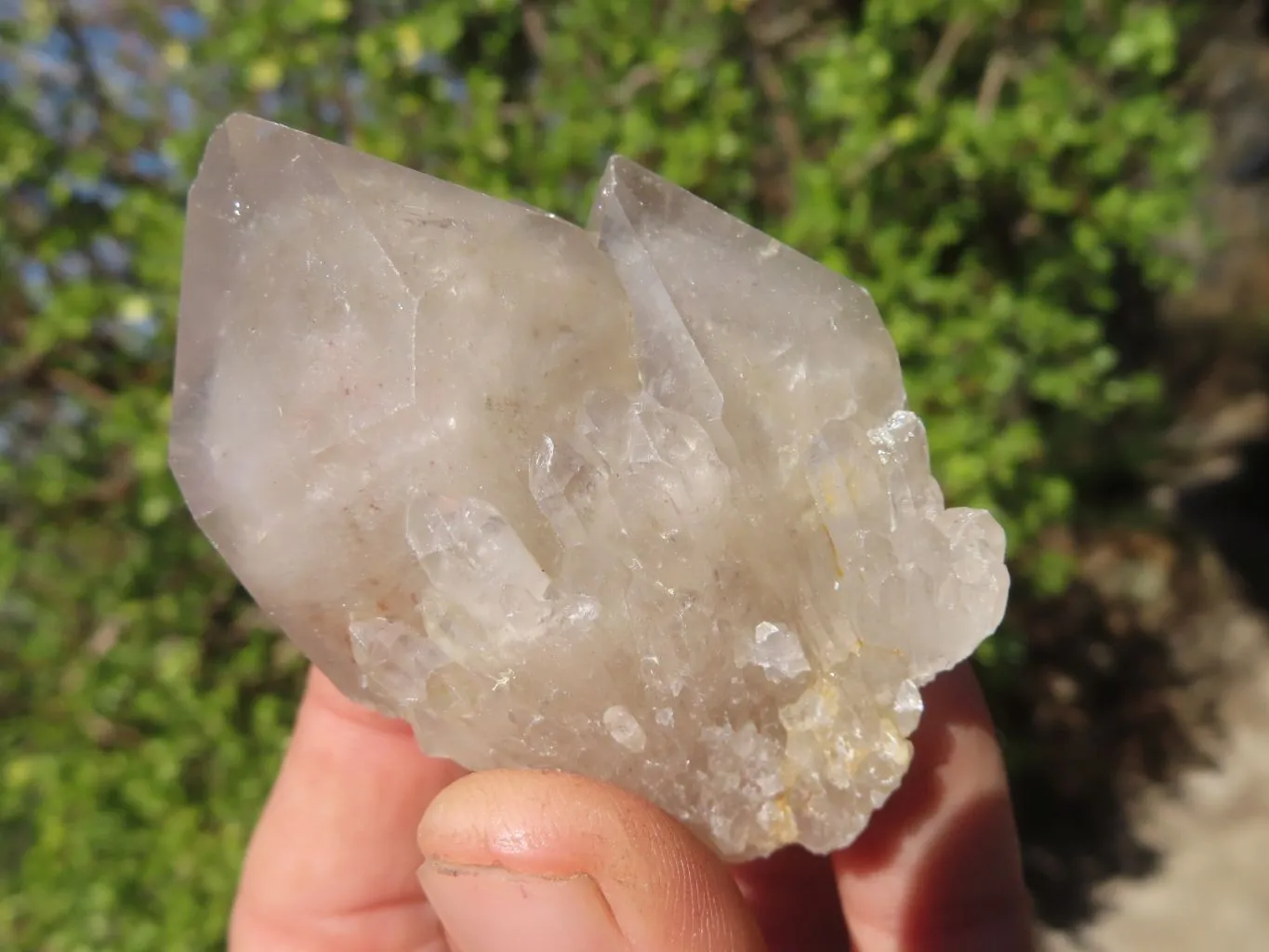 Natural Smokey Quartz Specimens x 12 From Congo