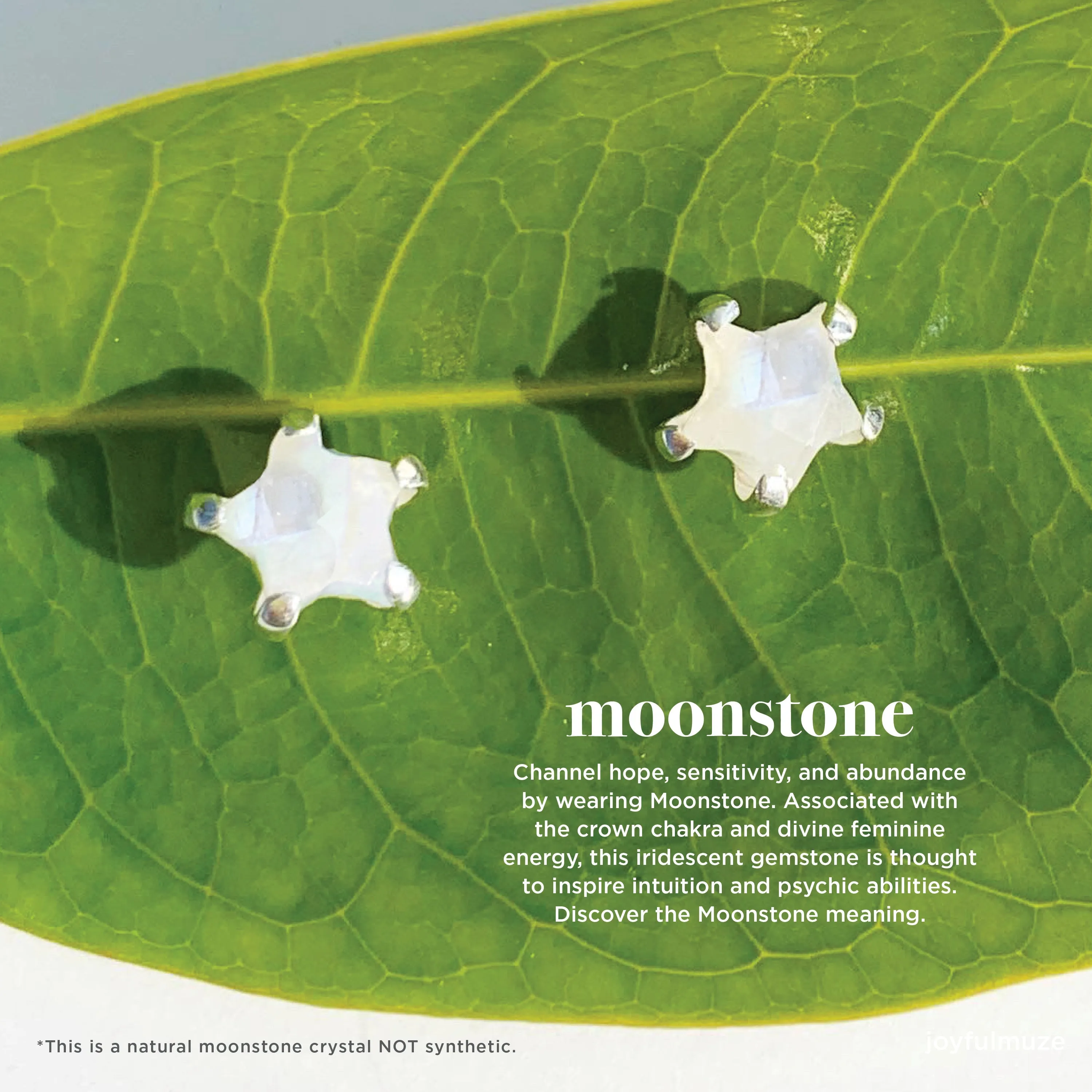 Rainbow Moonstone Stars Studs